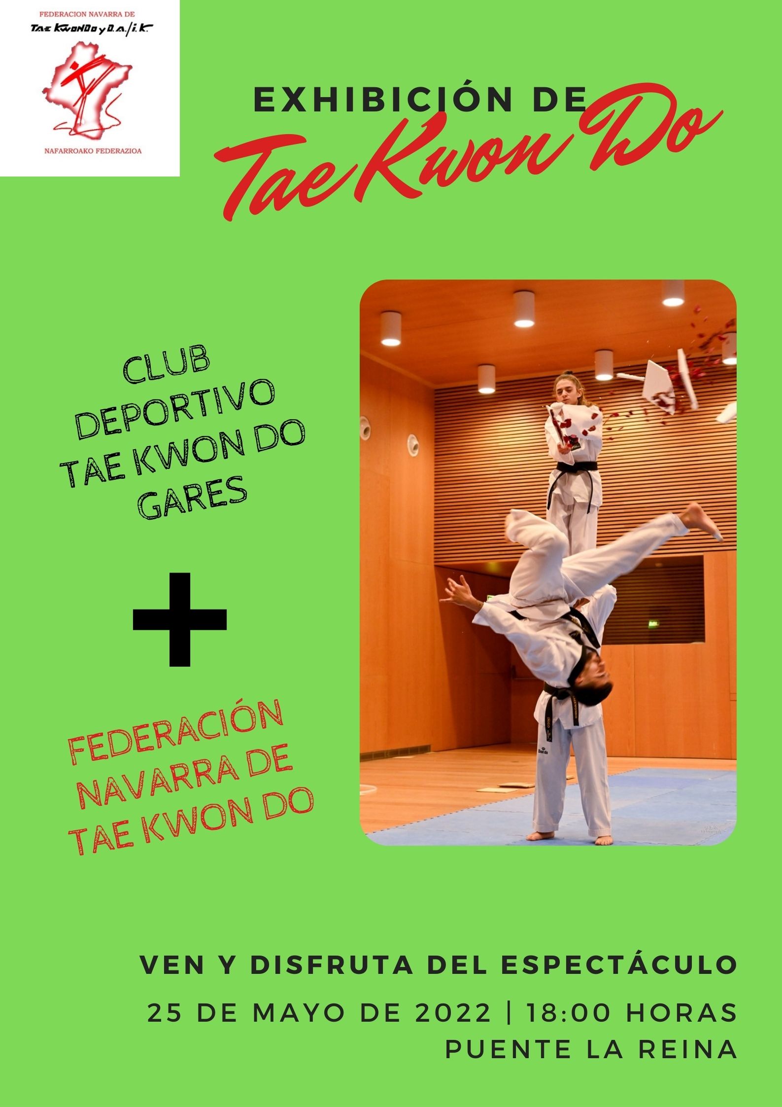 EXHIBICI&Oacute;N DE TAEKWONDO EN PUENTE LA REINA / GARES
